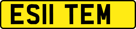 ES11TEM