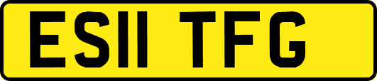 ES11TFG