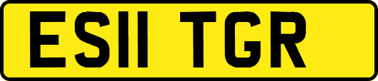 ES11TGR