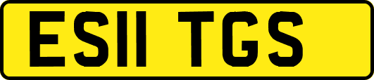 ES11TGS