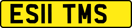 ES11TMS