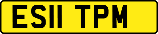 ES11TPM