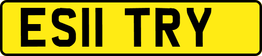 ES11TRY