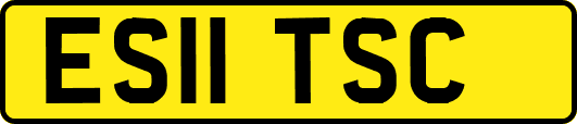 ES11TSC