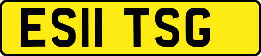 ES11TSG