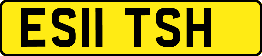 ES11TSH
