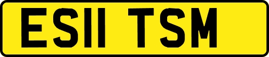 ES11TSM