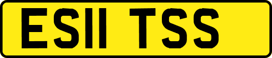 ES11TSS