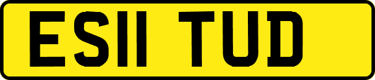 ES11TUD