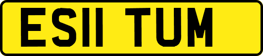 ES11TUM