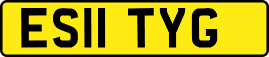 ES11TYG