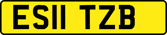 ES11TZB