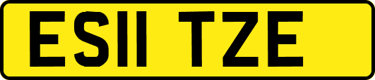 ES11TZE