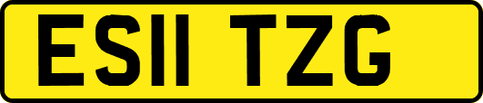 ES11TZG