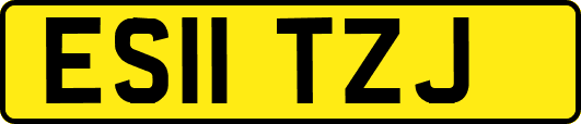 ES11TZJ