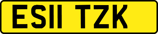 ES11TZK