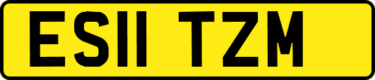 ES11TZM