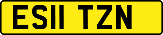 ES11TZN