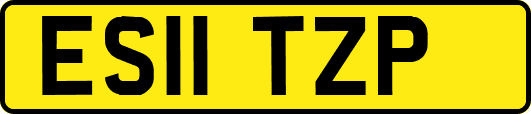 ES11TZP