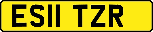 ES11TZR