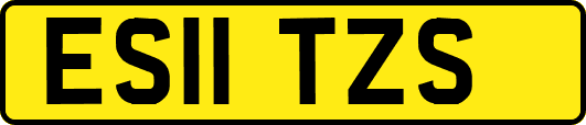 ES11TZS