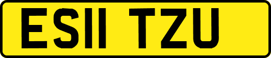 ES11TZU