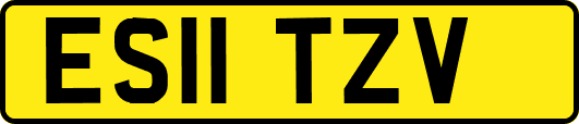 ES11TZV