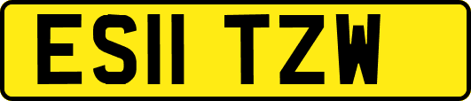 ES11TZW