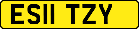 ES11TZY