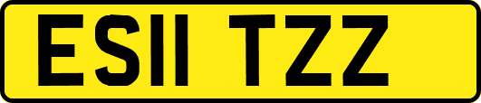 ES11TZZ