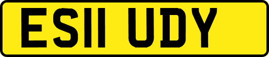 ES11UDY