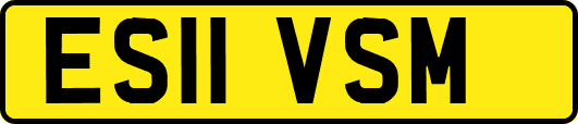 ES11VSM