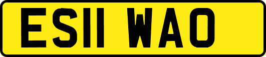 ES11WAO