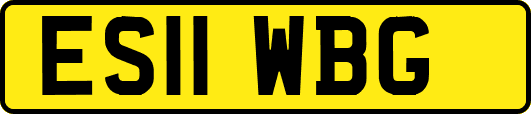 ES11WBG