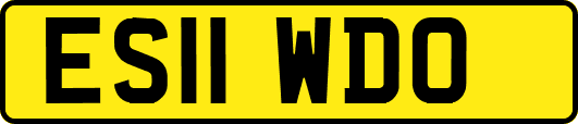 ES11WDO