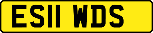 ES11WDS