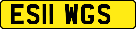 ES11WGS