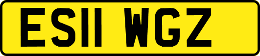 ES11WGZ