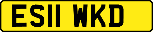 ES11WKD