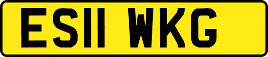 ES11WKG