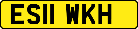 ES11WKH