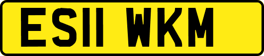 ES11WKM