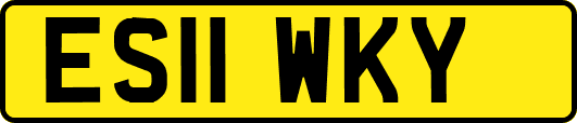 ES11WKY