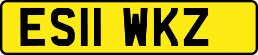 ES11WKZ