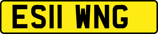 ES11WNG