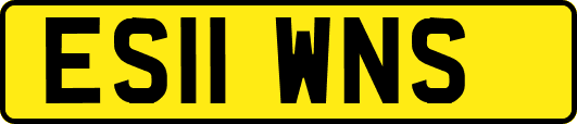 ES11WNS