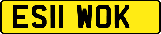 ES11WOK