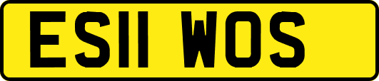ES11WOS