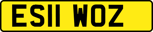 ES11WOZ
