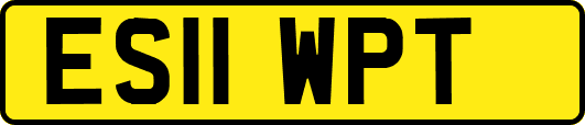 ES11WPT